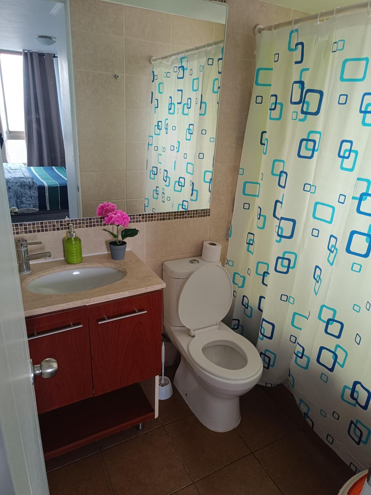 Andina 3 Apartamento Santiago